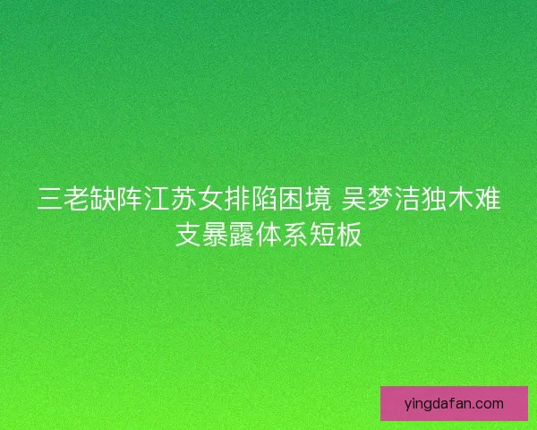 三老缺阵江苏女排陷困境 吴梦洁独木难支暴露体系短板