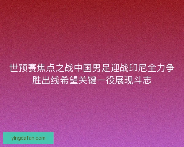 世预赛焦点之战中国男足迎战印尼全力争胜出线希望关键一役展现斗志
