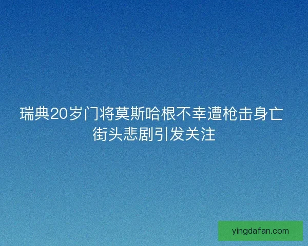 瑞典20岁门将莫斯哈根不幸遭枪击身亡 街头悲剧引发关注